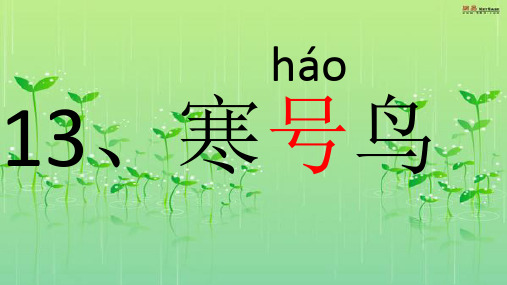 部编二年级上册语文《13、寒号鸟》