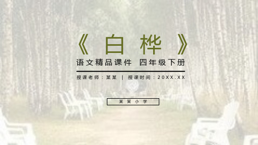 《白桦》人教版四年级语文下册精品PPT课件