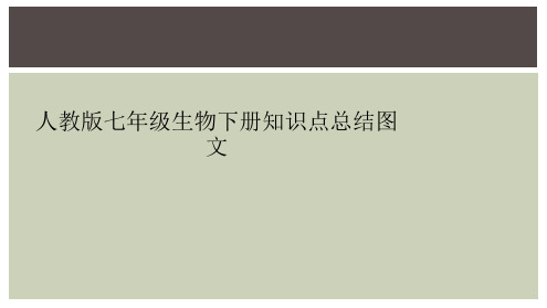 人教版七年级生物下册知识点总结图文