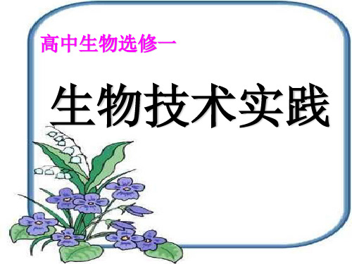 (完整)果酒和果醋的制作精品PPT资料精品PPT资料