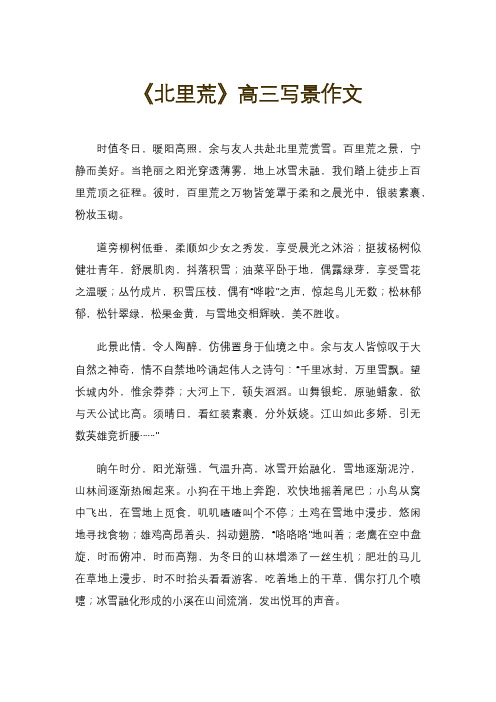 《北里荒》高三写景作文