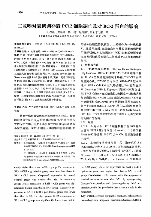 二氮嗪对氧糖剥夺后PC12细胞凋亡及对Bcl-2蛋白的影响