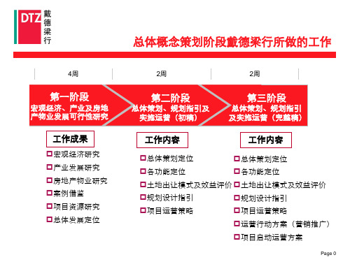 长沙_滨江新城第三阶段策划稿完整版