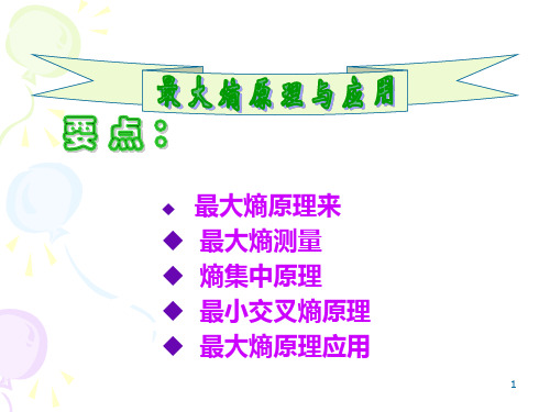 最大熵原理与应用(2011)