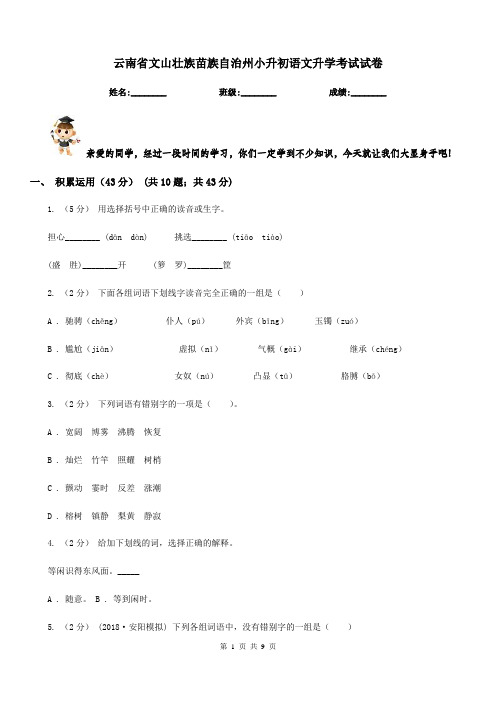 云南省文山壮族苗族自治州小升初语文升学考试试卷