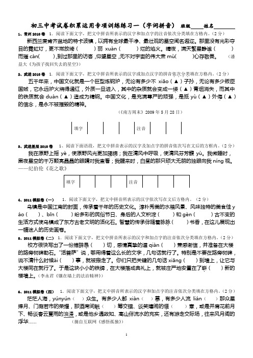 中考试卷积累运用专项训练练习一(字词拼音)