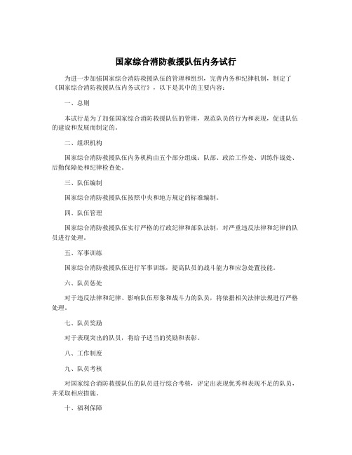 国家综合消防救援队伍内务试行