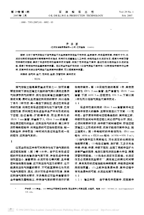 地下储气库盐穴及盐层固井技术