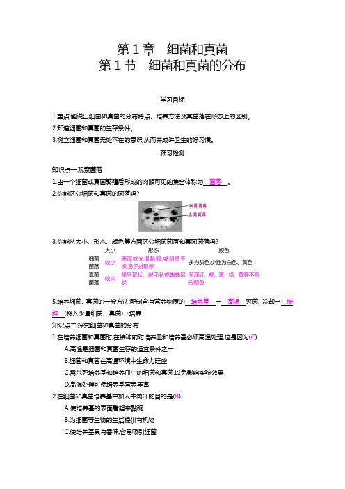 人教版八年级上册  5.4.1 细菌和真菌的分布导学案