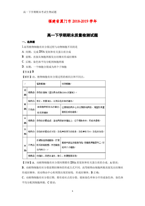 2018-2019学年福建省厦门市高一下学期期末质量检测生物试题(答案+解析)
