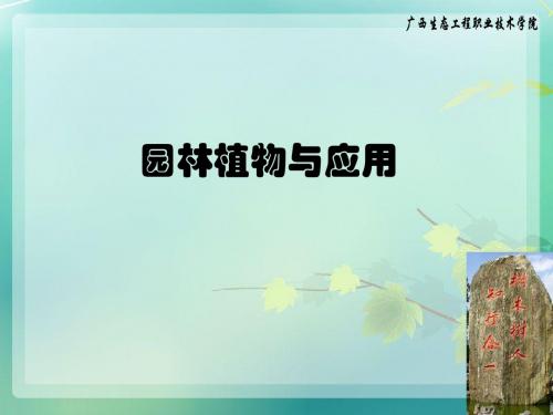 形态术语