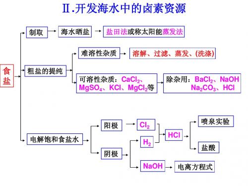 Ⅱ.开发海水中的卤素资源