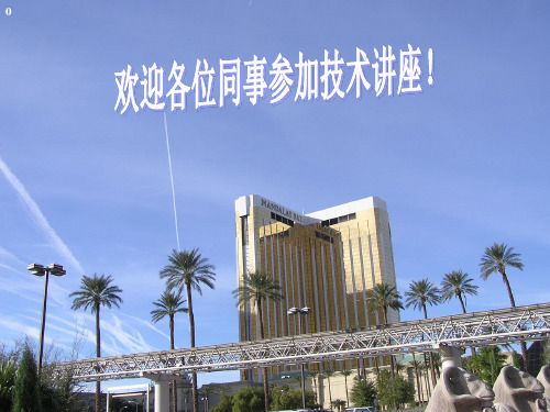 城市道路总体设计资料