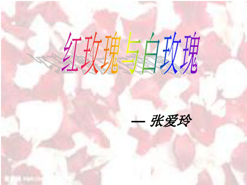 红玫瑰与白玫瑰
