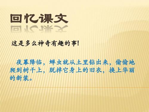 金蝉脱壳第二课时