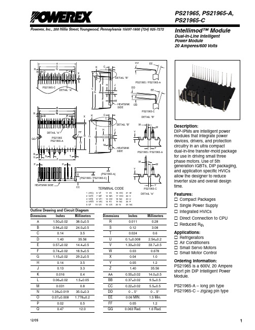 PS21965中文资料