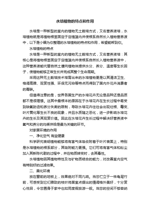 水培植物的特点和作用