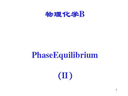 清华大学物理化学B-相平衡-2