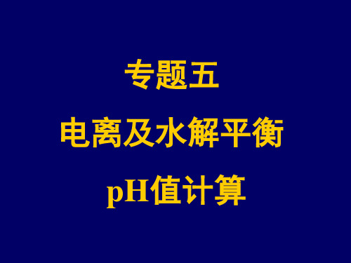 专题五 电离及水解平衡 pH值计算PPT教学课件