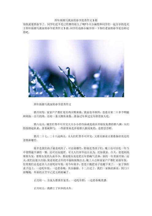 四年级描写我家的春节优秀作文5篇 
