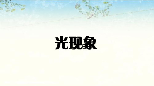 2020年中考物理总复习课件：光现象(共60张PPT)