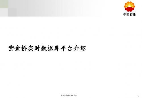 紫金桥实时数据库平台介绍78页PPT文档