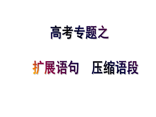 扩展语句压缩语段——2013届高考复习专用