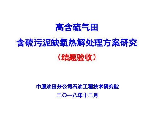 高含硫气田含硫污泥缺氧热解处理方案研究