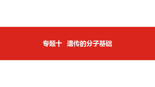 2019版高考生物一轮复习名师课件：第四单元专题十  遗传的分子基础 (共116张PPT)