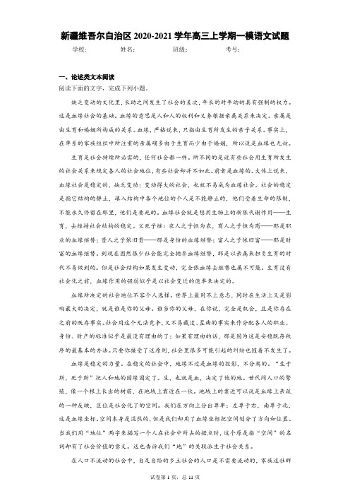 新疆维吾尔自治区2020-2021学年高三上学期一模语文试题