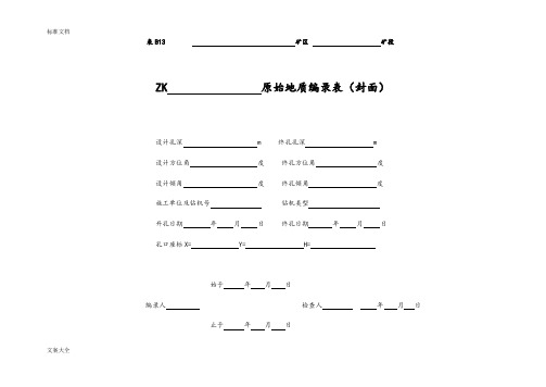 钻孔编录表格(全)