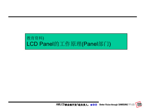 LCD_PANEL工作原理