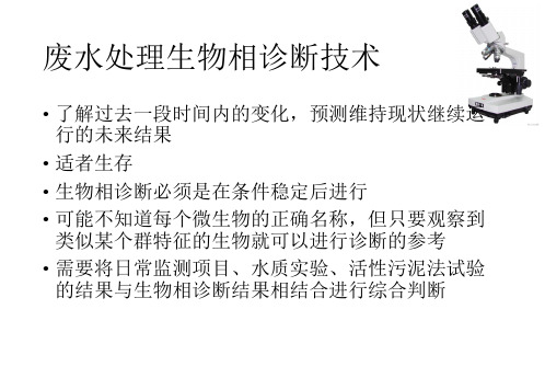 微生物相诊断技术图谱