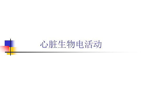 心脏生物电活动