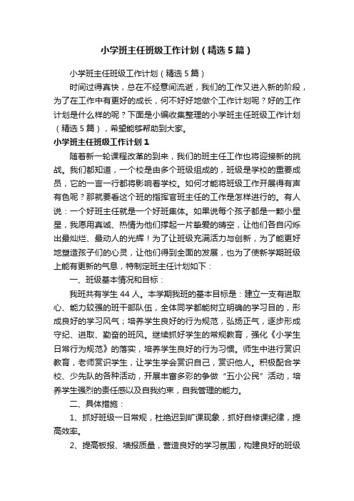 小学班主任班级工作计划（精选5篇）