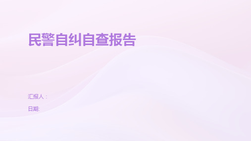 民警自纠自查报告