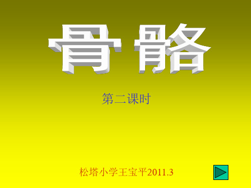 小学四级科学《骨骼》教学
