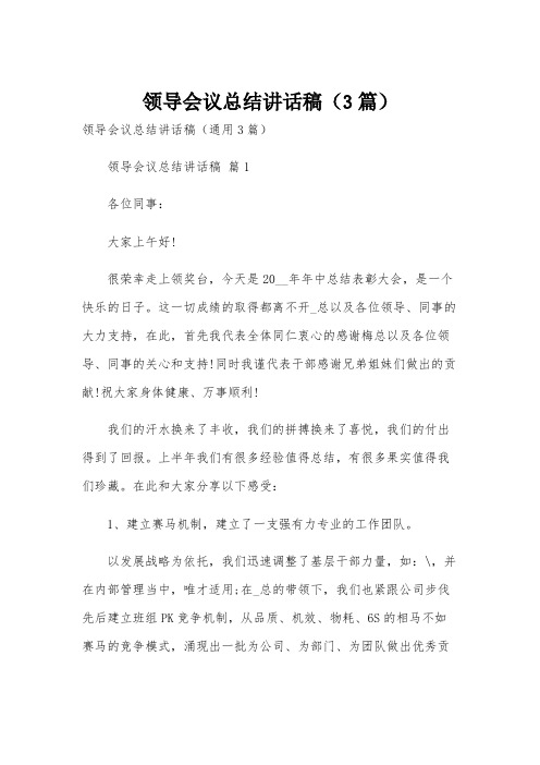领导会议总结讲话稿(3篇)