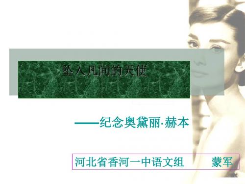 坠入凡间的天使 PPT课件