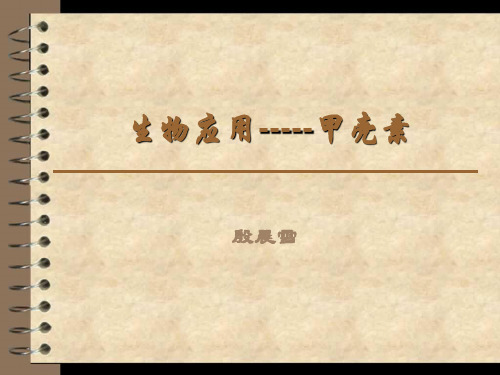 甲壳素