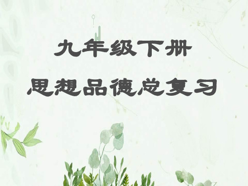 《九年级下册思想品德总复习》PPT课件 图文