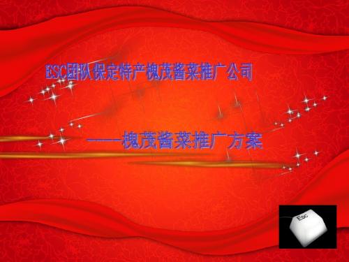 槐茂酱菜演示稿 - 副本
