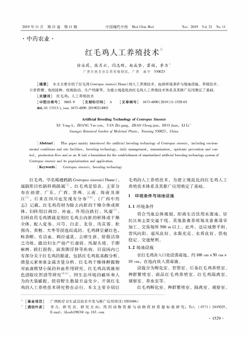 红毛鸡人工养殖技术