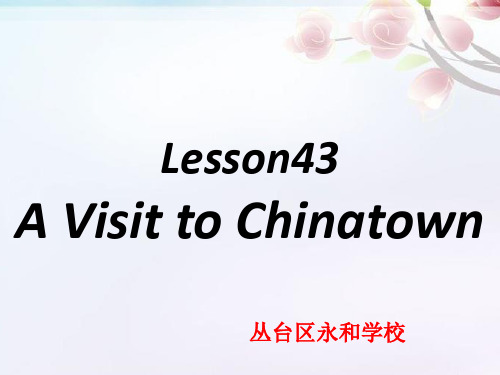 冀教版九年级英语  Unit 8 Lesson 43《A Visit to Chinatown》(共25张PPT)