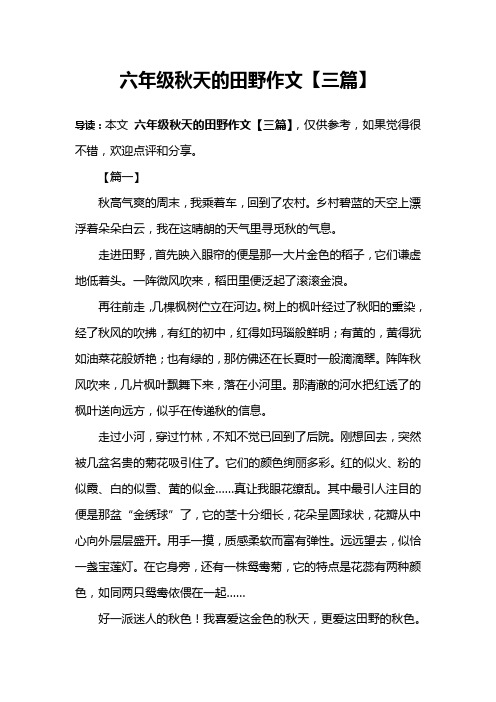 六年级秋天的田野作文【三篇】