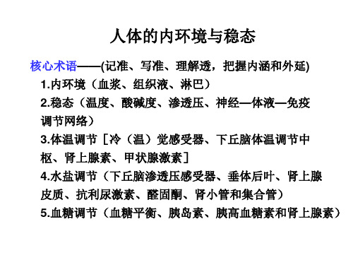 人体的内环境和稳态