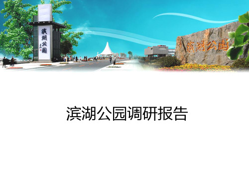 滨湖公园调研报告