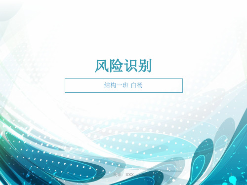 风险识别PPT课件