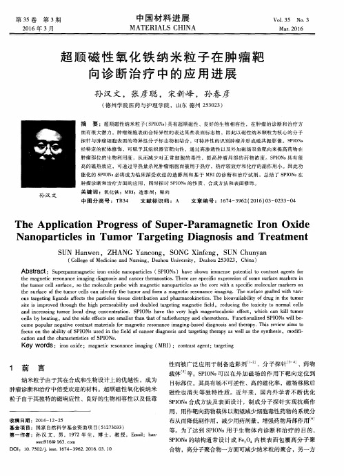 超顺磁性氧化铁纳米粒子在肿瘤靶向诊断治疗中的应用进展
