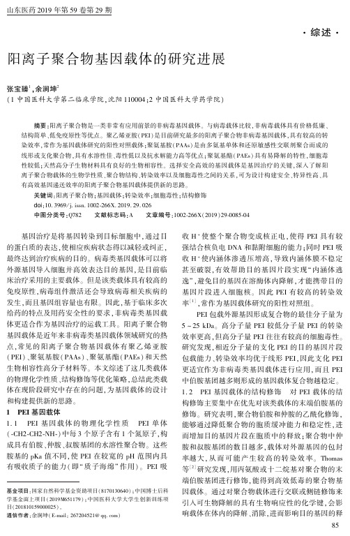 阳离子聚合物基因载体的研究进展